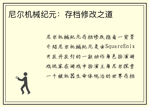 尼尔机械纪元：存档修改之道